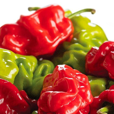 Dragon's Toe Pepper Seeds - The Pepper Pantry (Formerly Marie Sharp's)